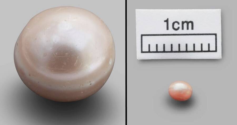 The oldest pearl in the world is discovered in Abu Dhabi